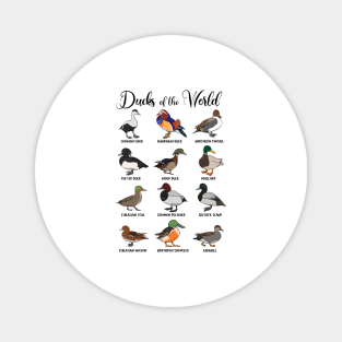 Different ducks - types of ducks Magnet